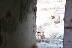 1993_9_F254_24_KOYKOYMANHS