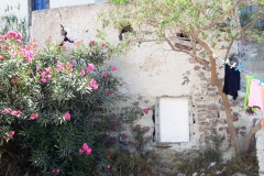oia-mosxakis-09-2004-132