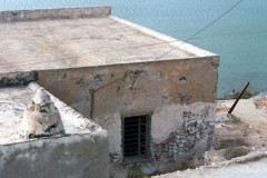 1993_10_F256_6_SIKINOS-ΛΑΜΠΑΔΑΡΙΟΣ