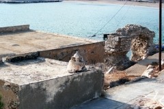 1993_10_F256_7_SIKINOS-ΛΑΜΠΑΔΑΡΙΟΣ