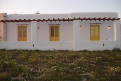 P1010005